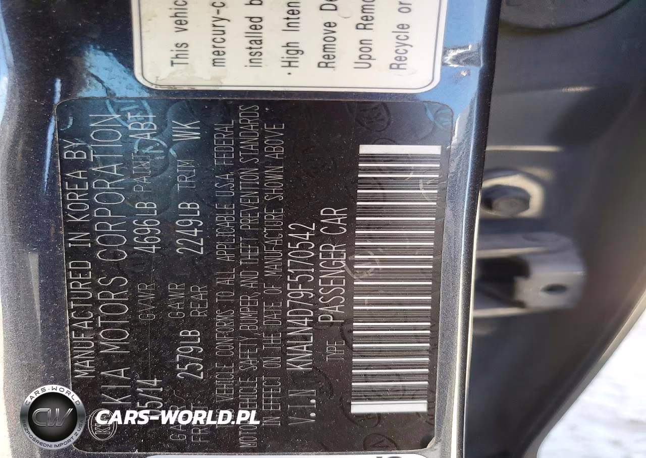 2015 Kia Cadenza Premium VIN:KNALN4D79F5170542 - 13