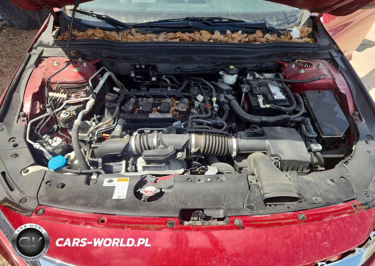2018 Honda Accord Ex VIN:1HGCV1F41JA089413 - 11