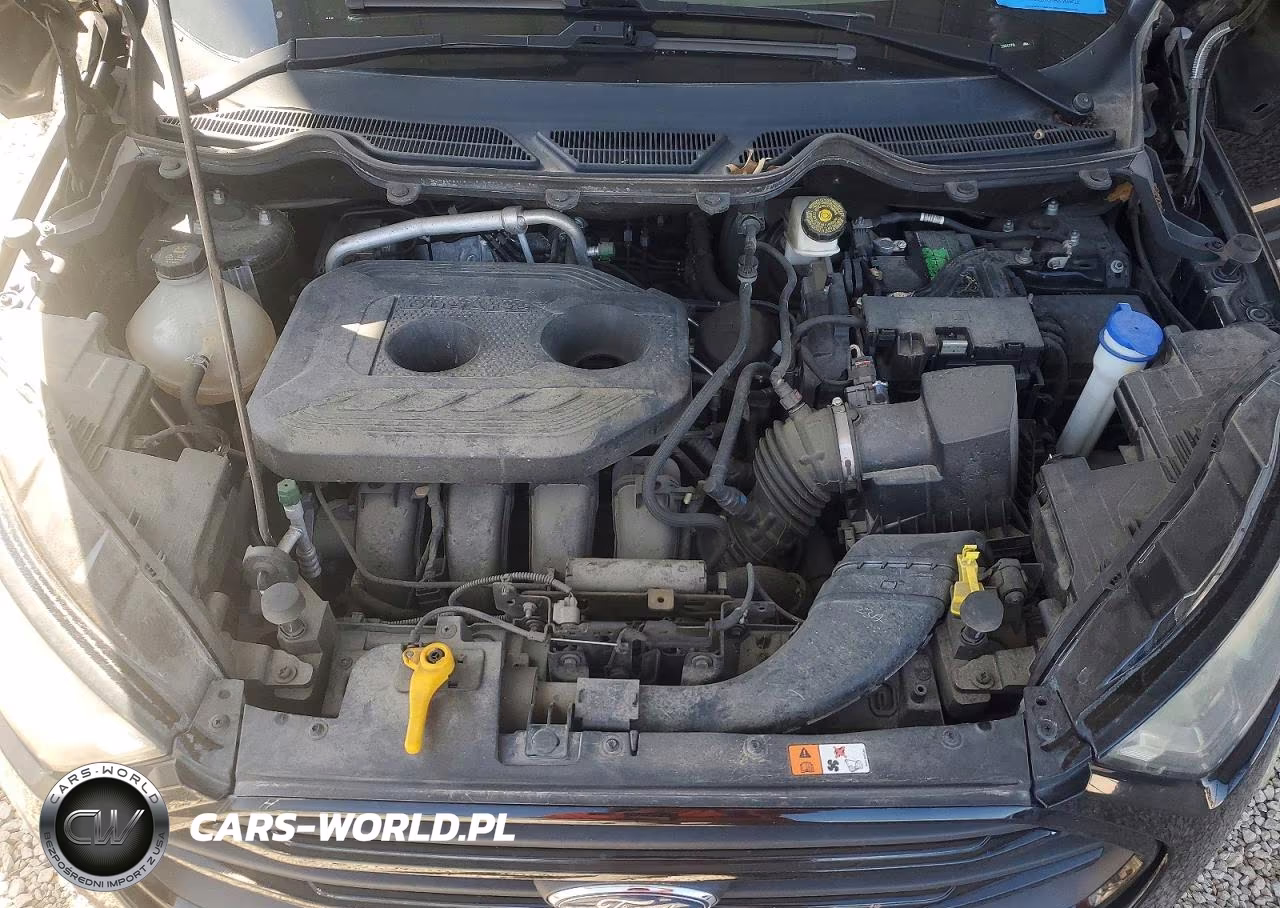 2020 Ford Ecosport Ses VIN:MAJ6S3JL5LC351770 - 11