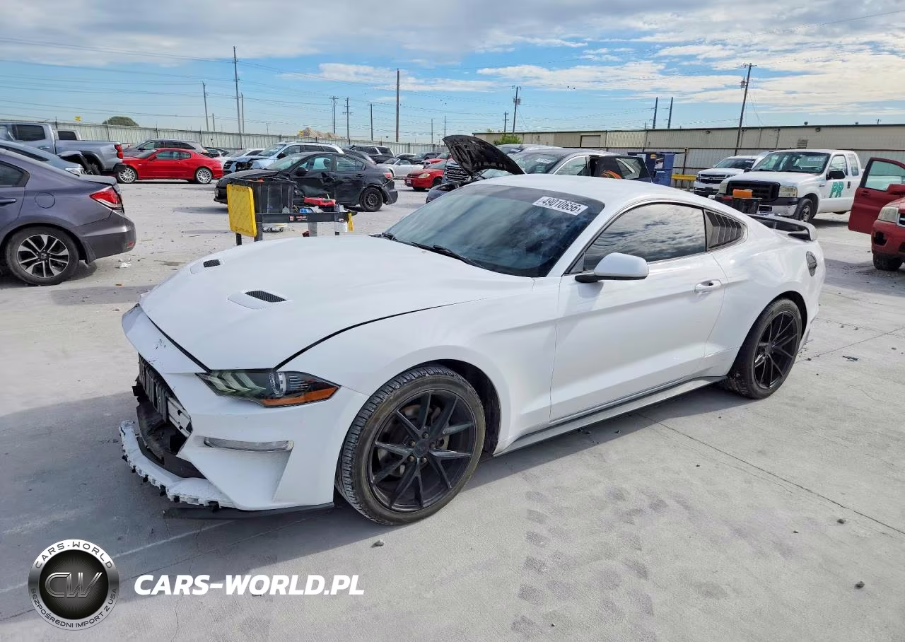 2019 Ford Mustang
