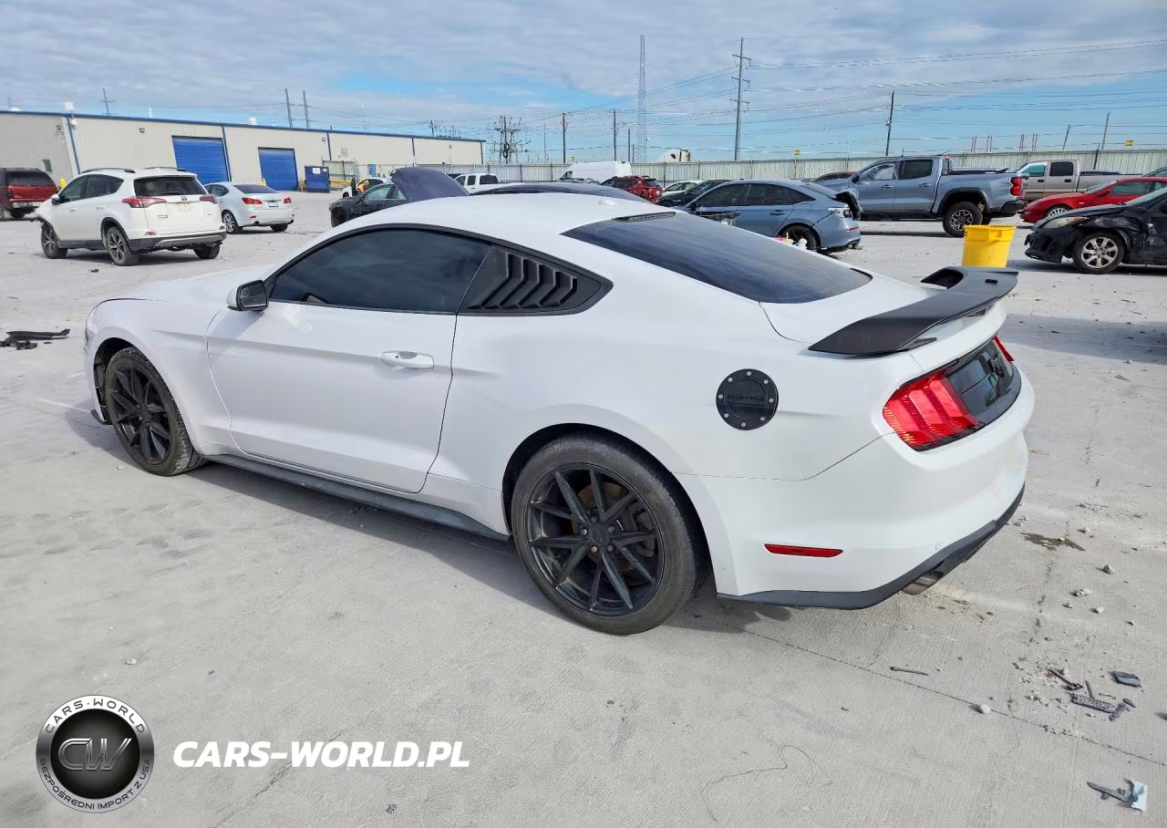 2019 Ford Mustang VIN:1FA6P8TH1K5185631 - 2