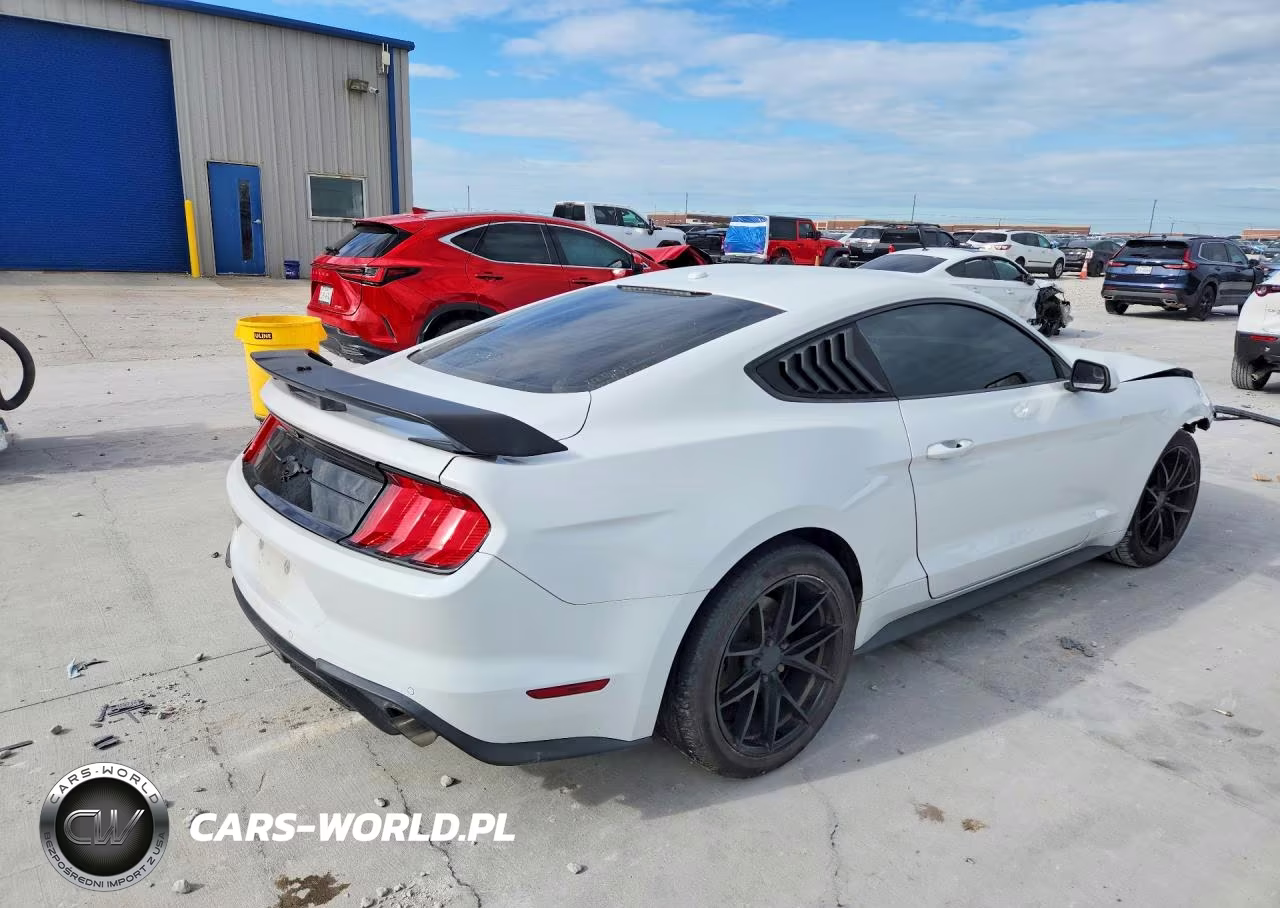 2019 Ford Mustang VIN:1FA6P8TH1K5185631 - 3