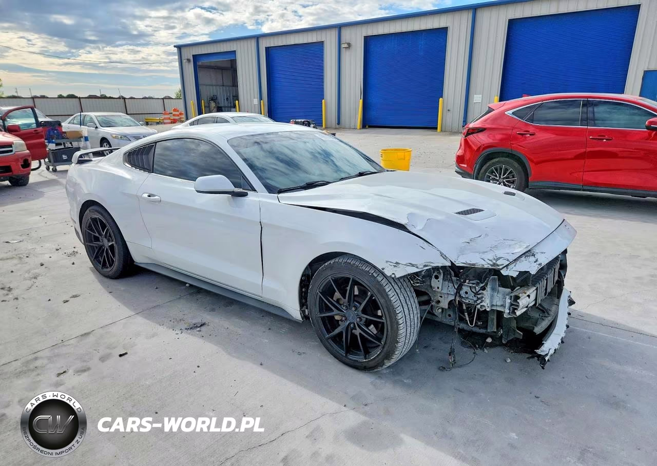2019 Ford Mustang VIN:1FA6P8TH1K5185631 - 4
