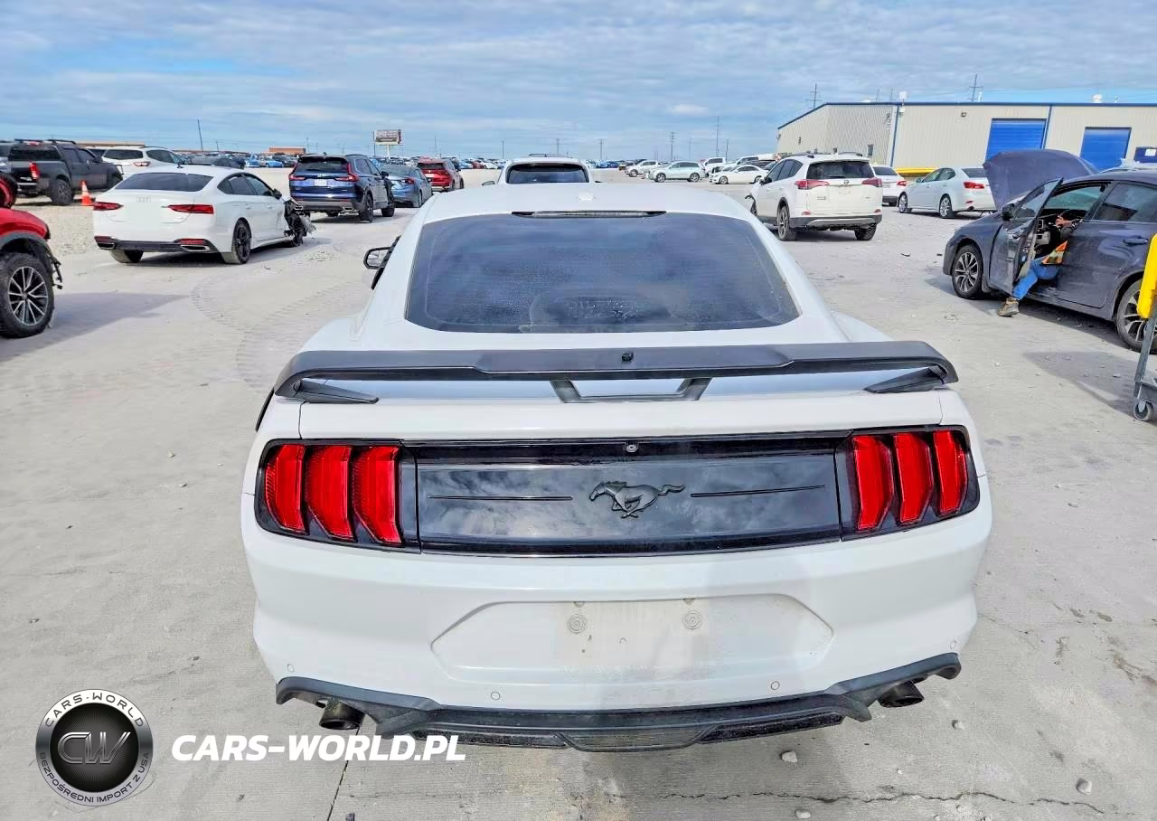2019 Ford Mustang VIN:1FA6P8TH1K5185631 - 6