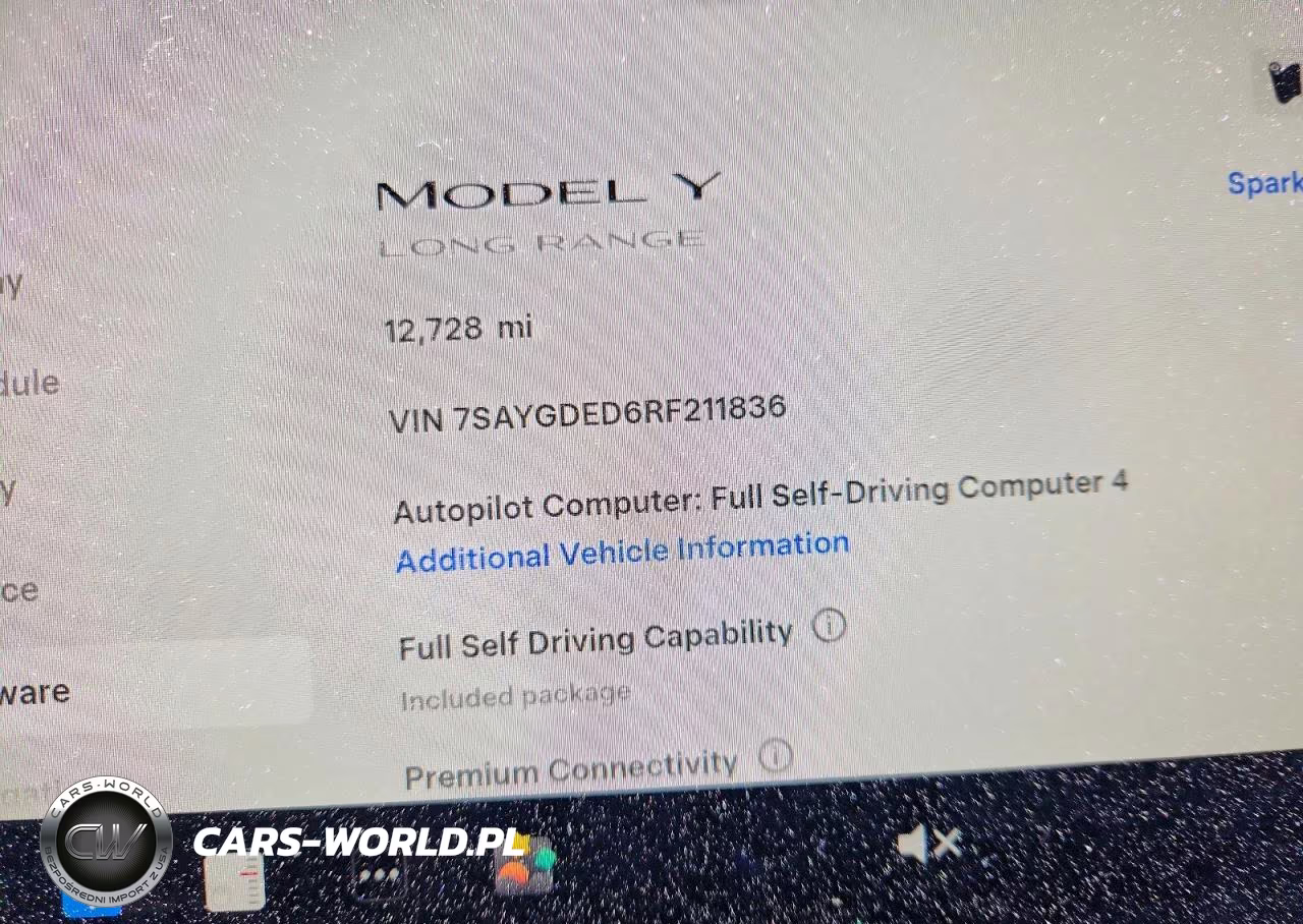 2024 Tesla Model Y VIN:7SAYGDED6RF211836 - 9