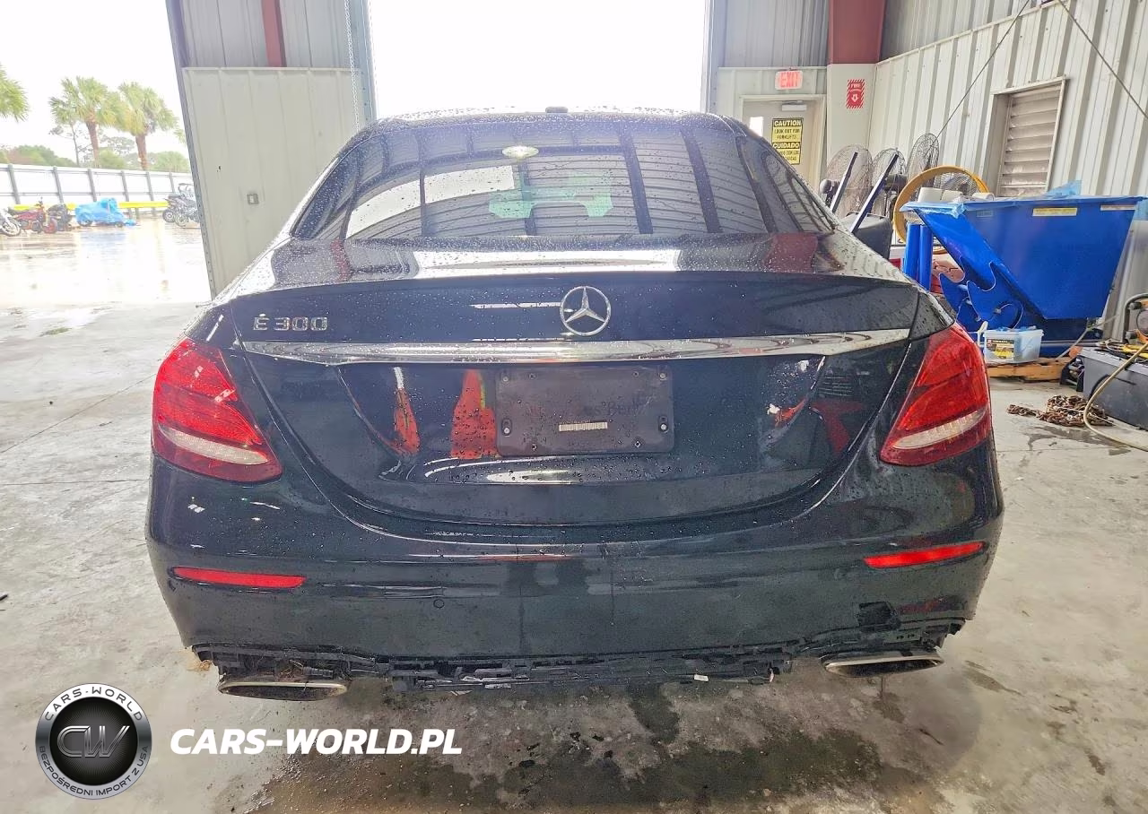 2019 Mercedes-Benz E 300 VIN:WDDZF4JB9KA682893 - 6