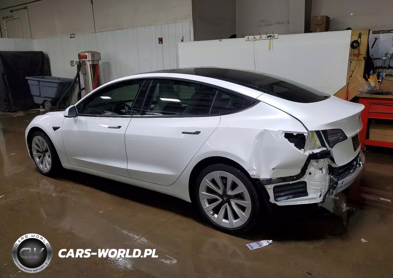 2021 Tesla Model 3 VIN:5YJ3E1EB9MF033505 - 2