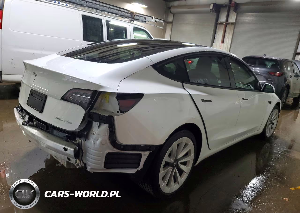 2021 Tesla Model 3 VIN:5YJ3E1EB9MF033505 - 3