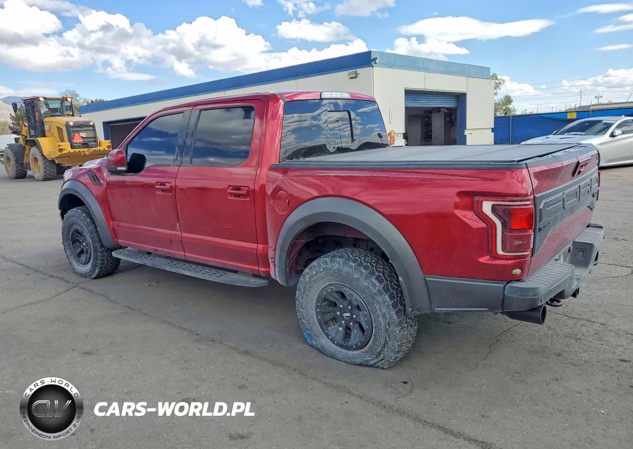 2018 Ford F150 Raptor VIN:1FTFW1RG0JFB95823 - 2