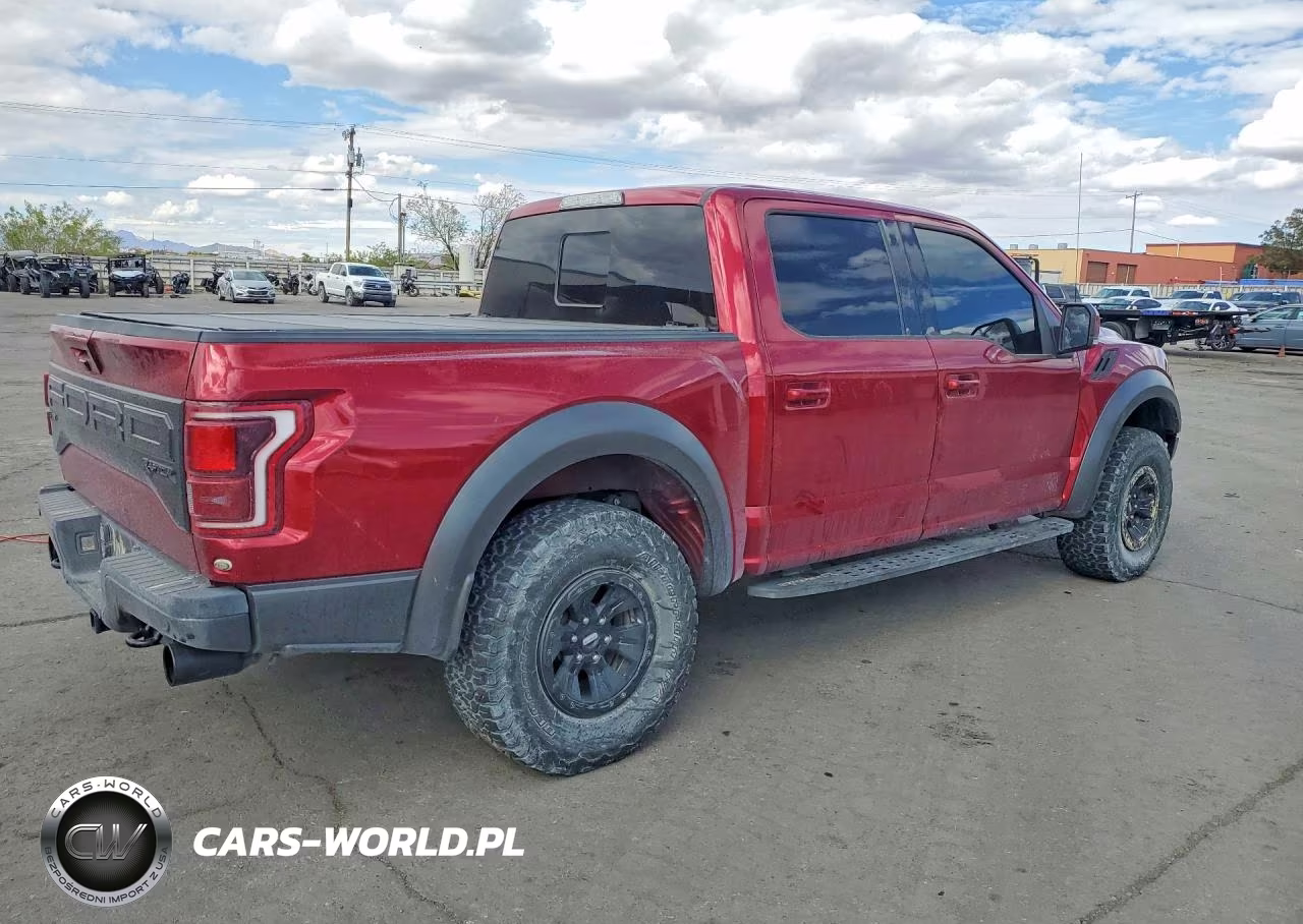 2018 Ford F150 Raptor VIN:1FTFW1RG0JFB95823 - 3