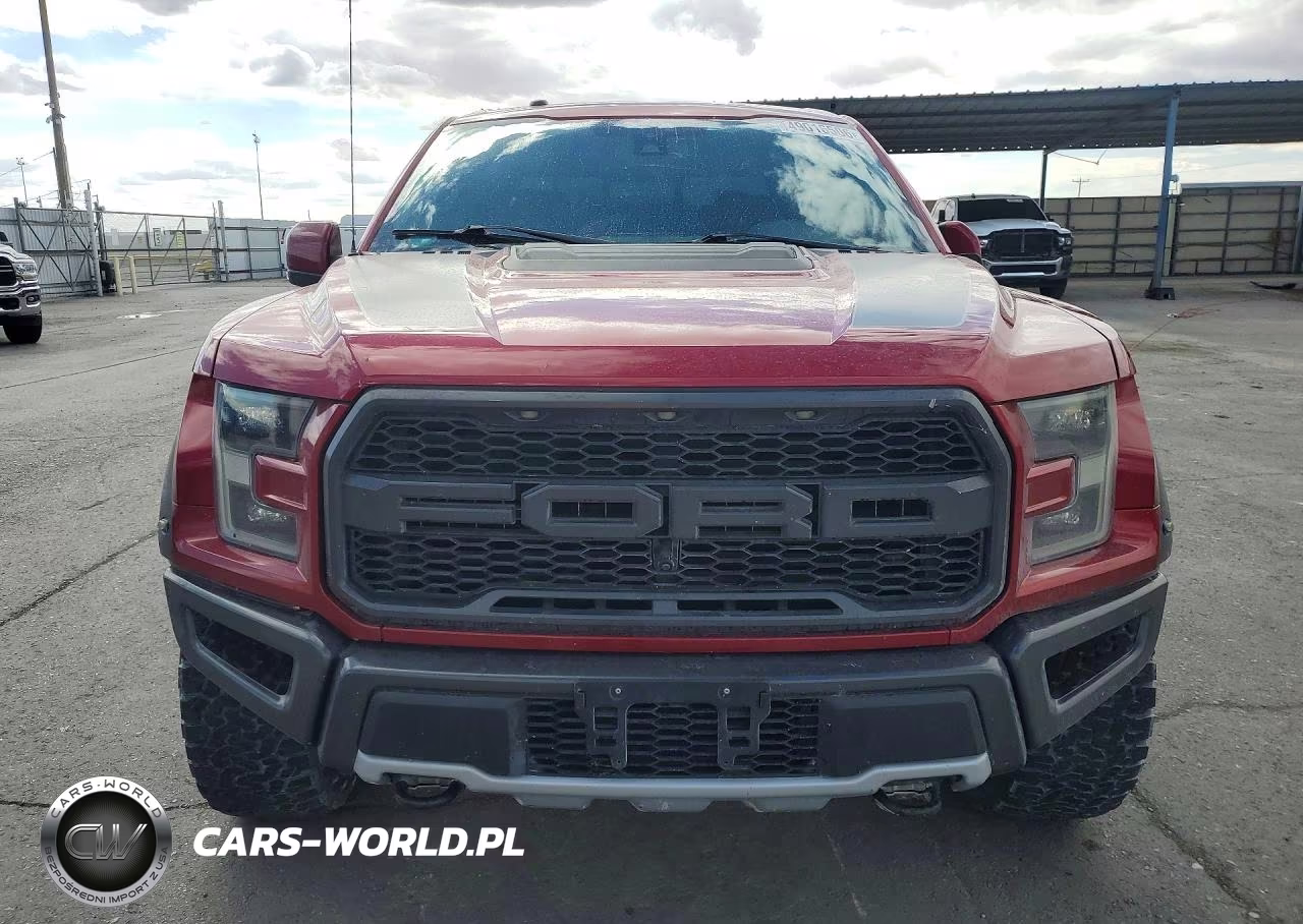 2018 Ford F150 Raptor VIN:1FTFW1RG0JFB95823 - 5