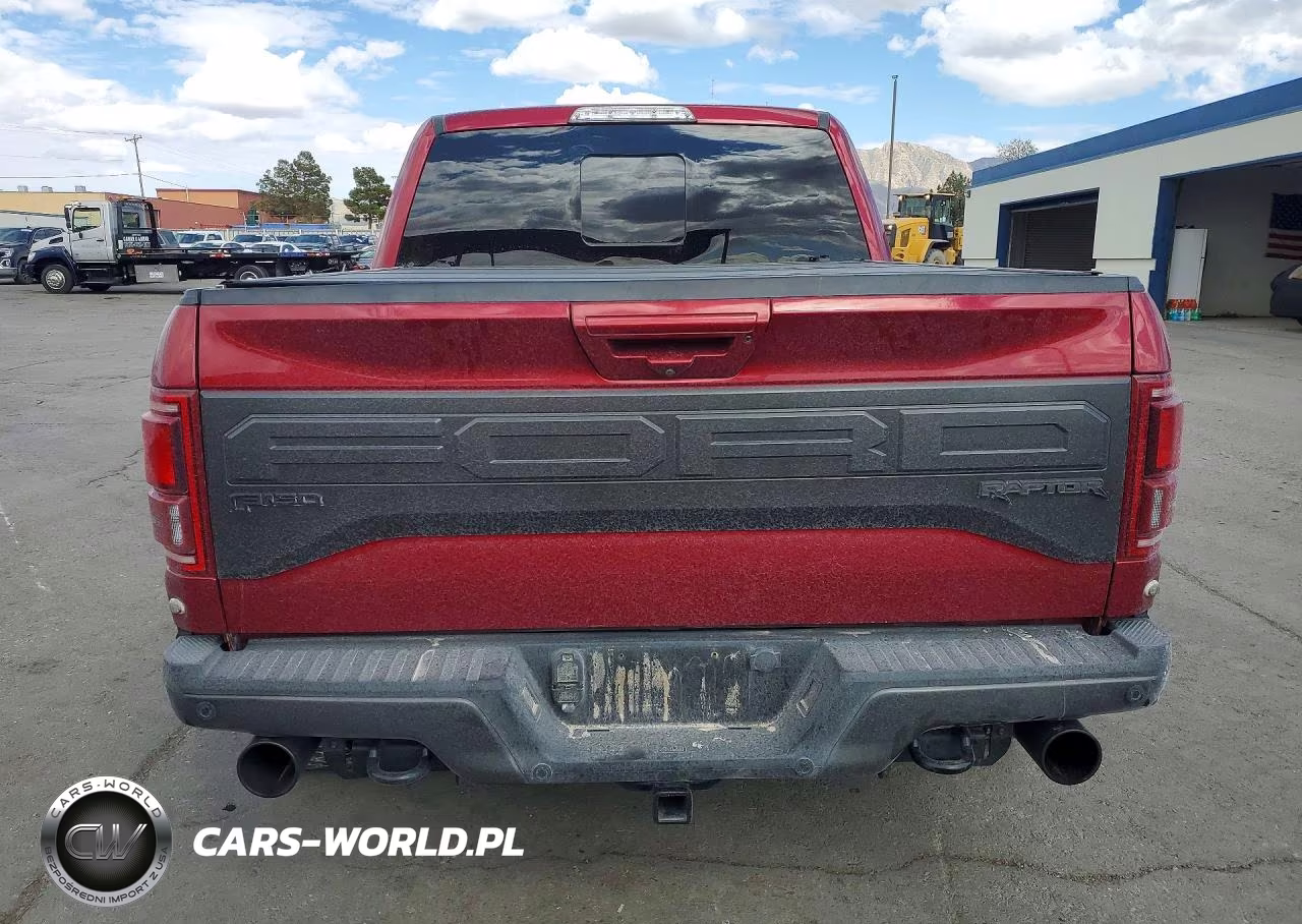 2018 Ford F150 Raptor VIN:1FTFW1RG0JFB95823 - 6