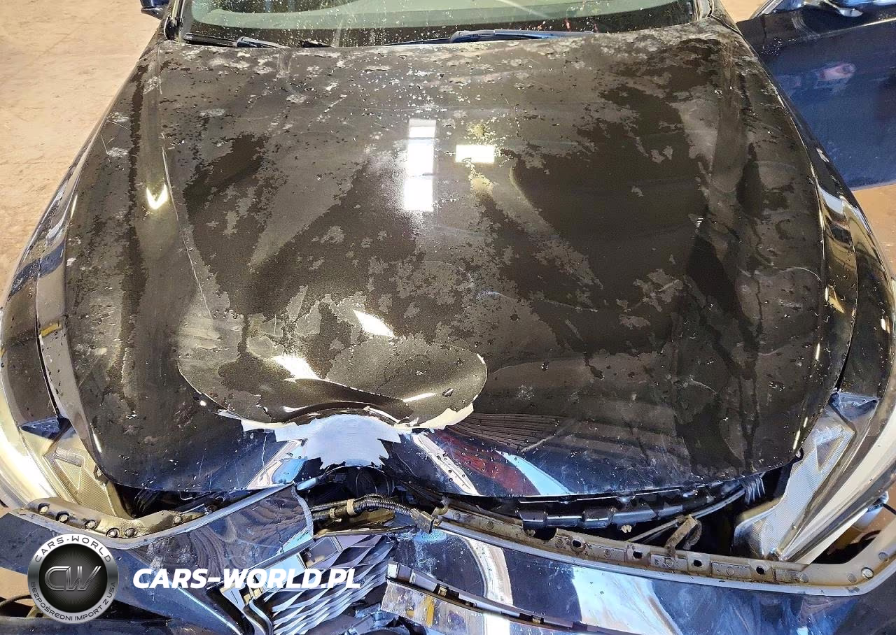 2019 Infiniti Q50 Red Sport 400 VIN:JN1FV7AR2KM801142 - 11