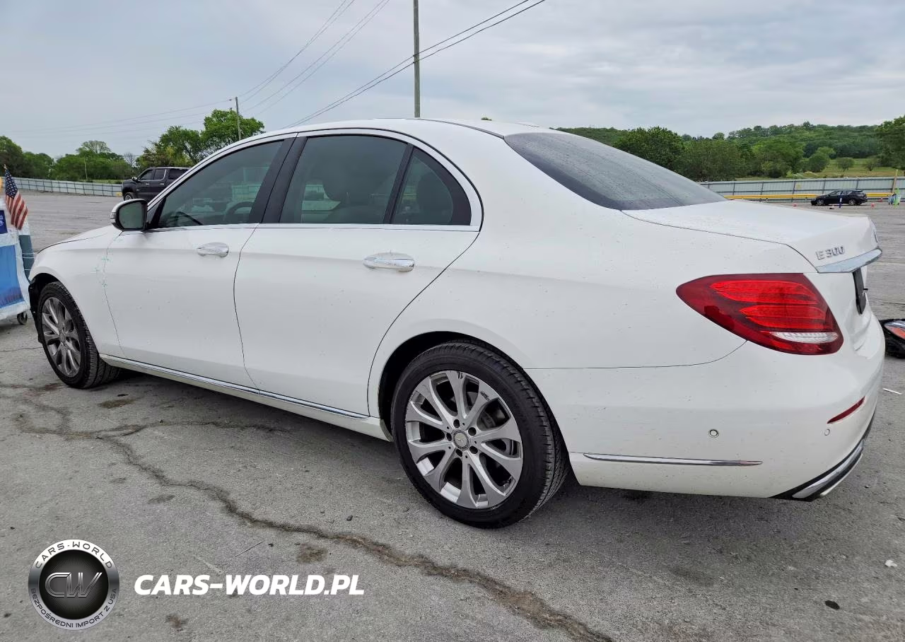 2017 Mercedes-Benz E 300 VIN:WDDZF4JBXHA219301 - 2