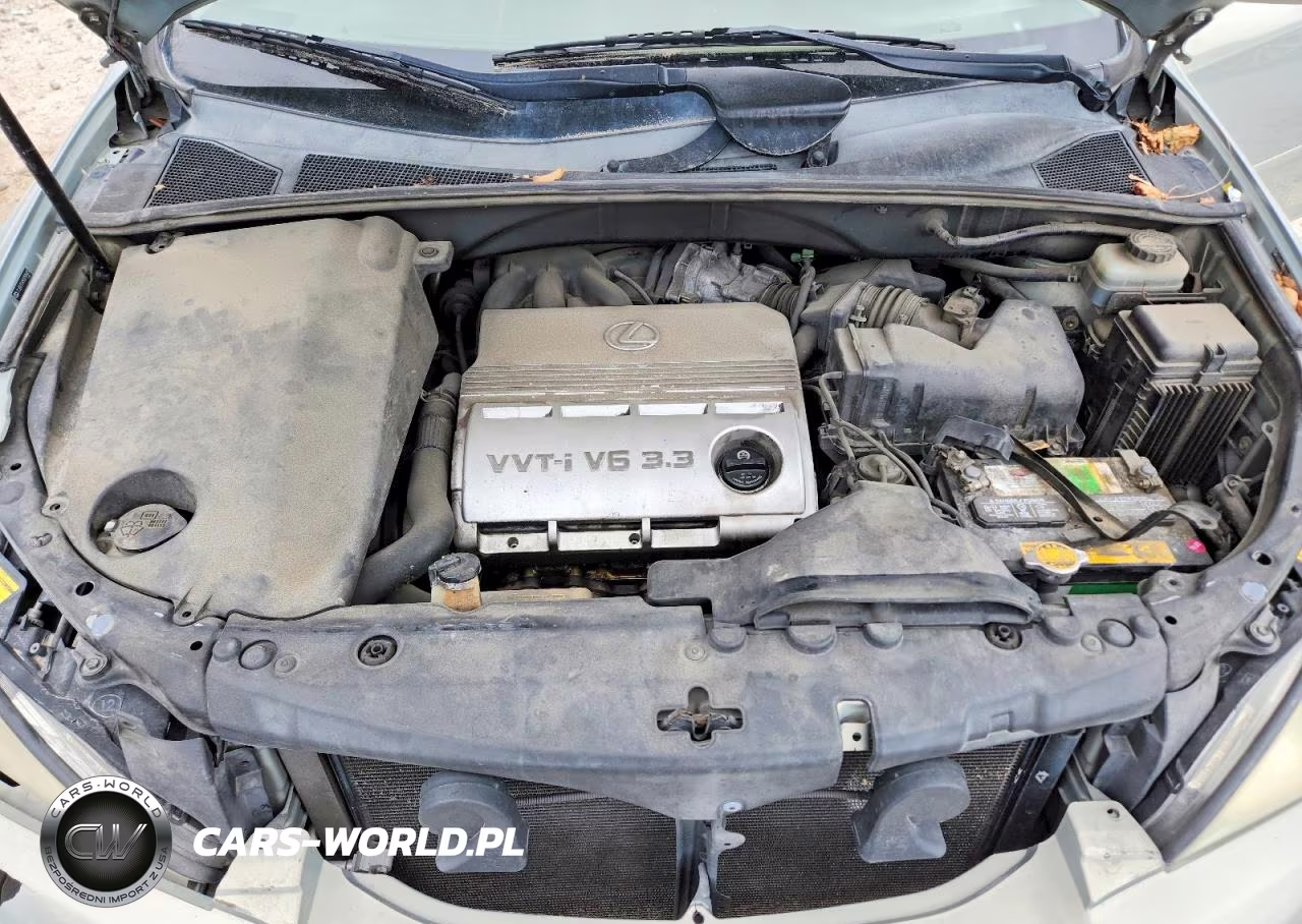 2005 Lexus Rx 330 Base VIN:JTJGA31U450055845 - 12