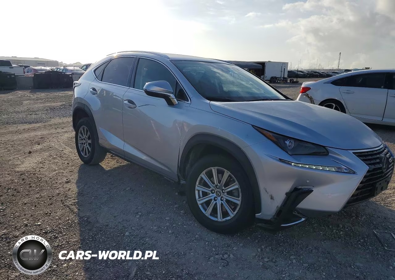2019 Lexus Nx 300H Base VIN:JTJBJRBZ9K2123144 - 4