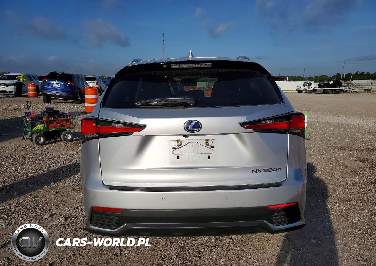 2019 Lexus Nx 300H Base VIN:JTJBJRBZ9K2123144 - 6
