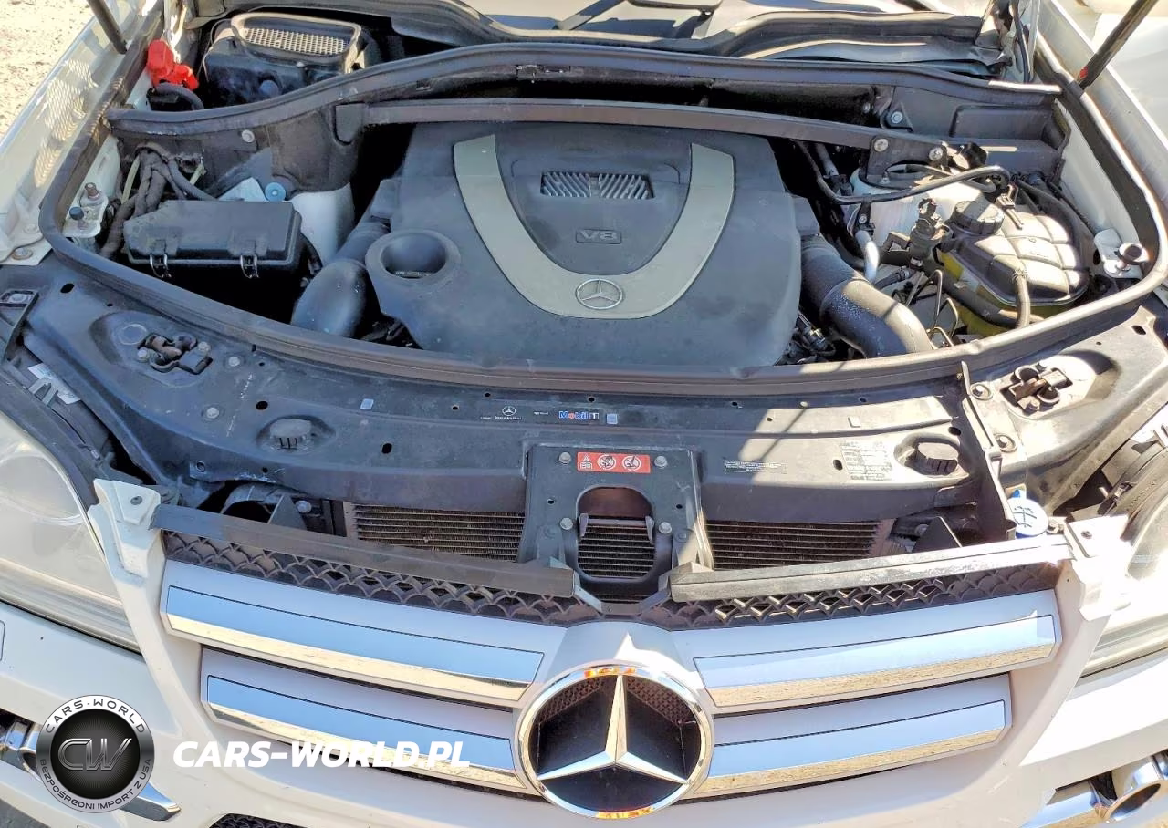 2010 Mercedes-Benz Gl 450 4Matic VIN:4JGBF7BEXAA594807 - 12