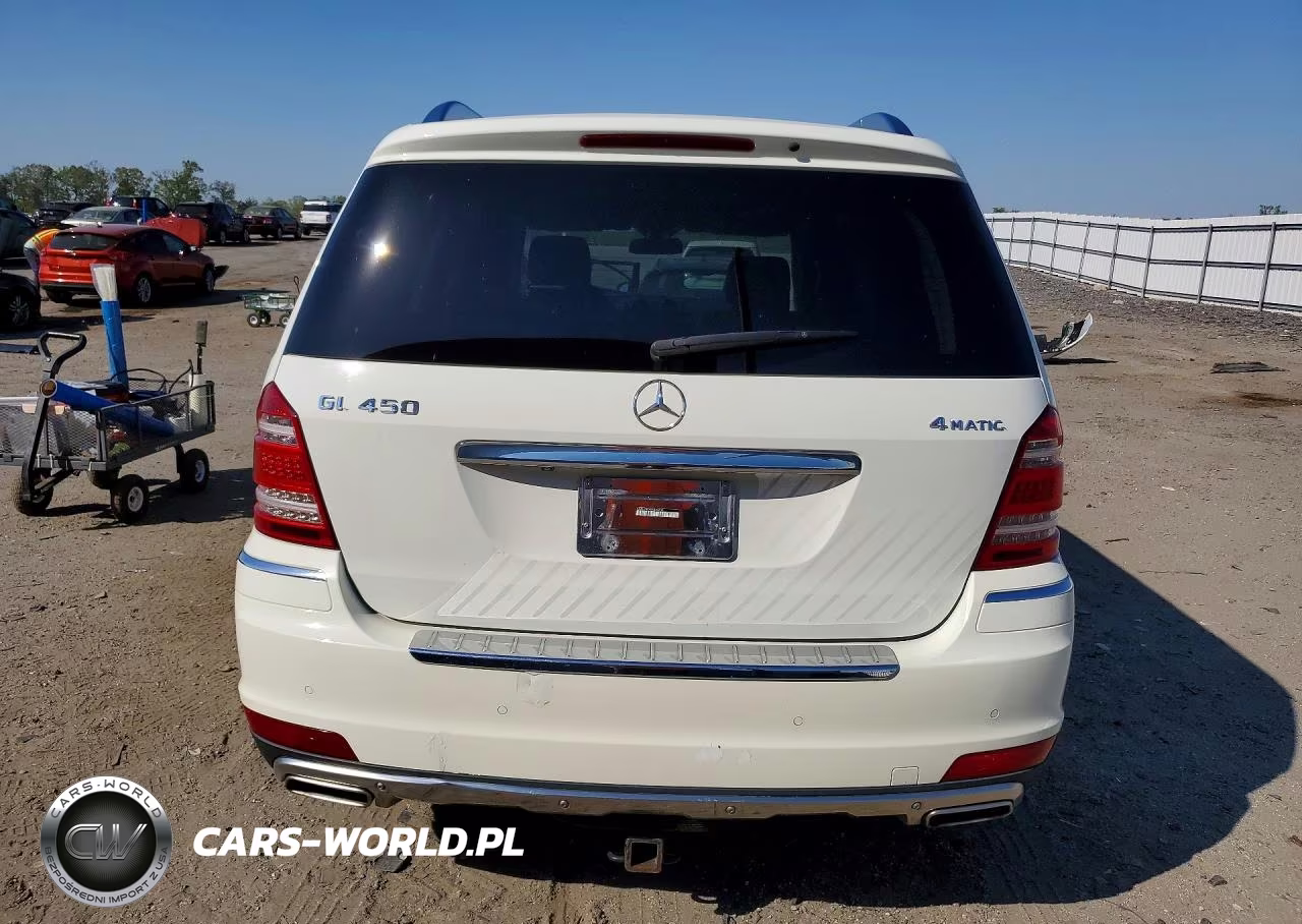 2010 Mercedes-Benz Gl 450 4Matic VIN:4JGBF7BEXAA594807 - 6
