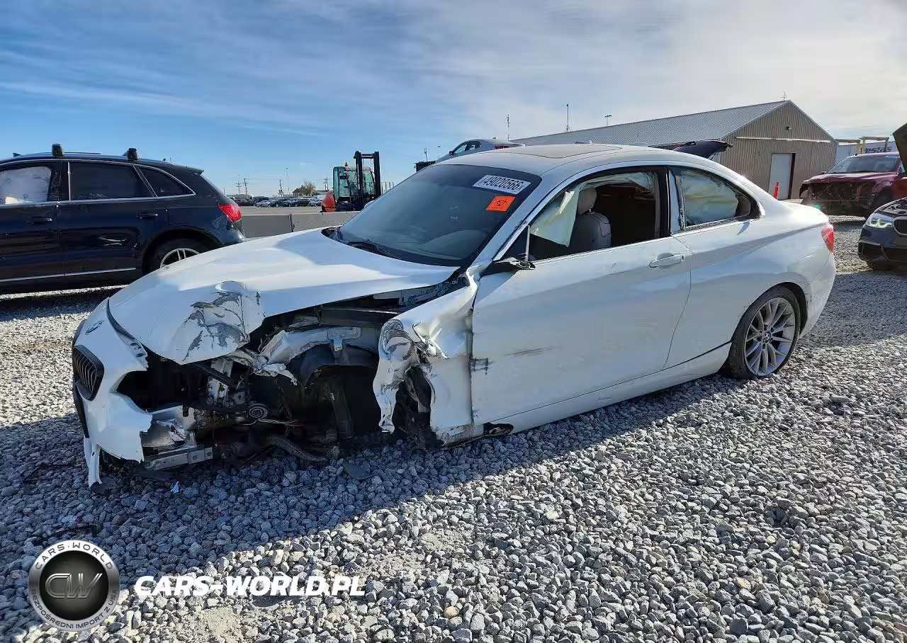 2015 BMW 228 Xi Sulev