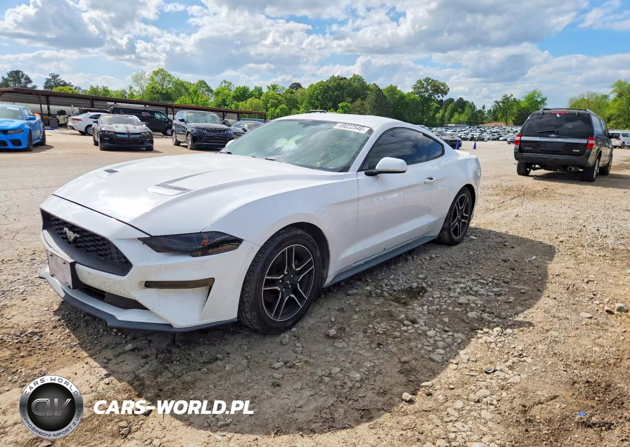 2019 Ford Mustang
