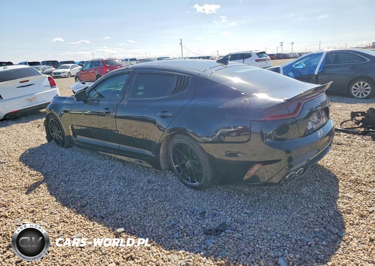 2020 Kia Stinger Gt-Line VIN:KNAE15LA1L6082825 - 2