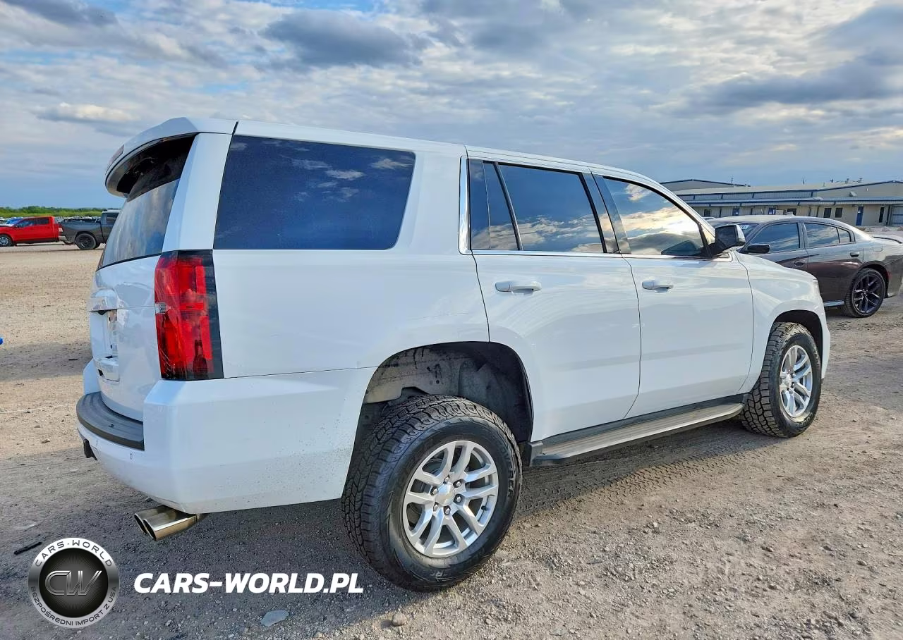 2017 Chevrolet Tahoe Police VIN:1GNLCDEC0HR234233 - 3