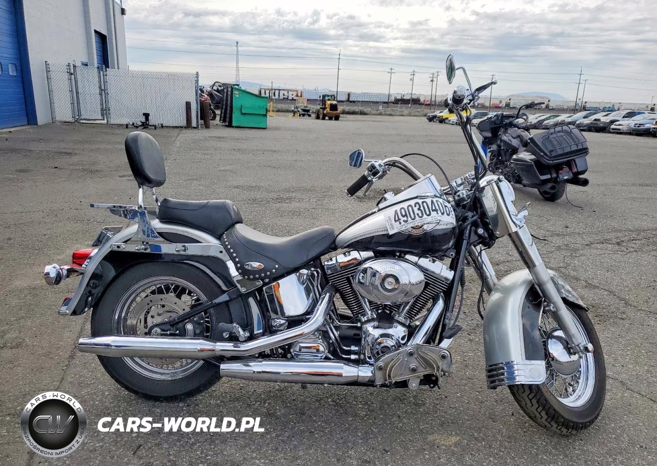 2003 Harley-Davidson Flstci Anniversary