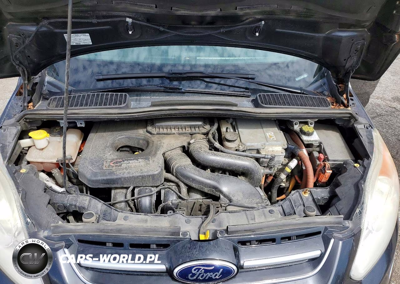 2015 Ford C-Max Premium Sel VIN:1FADP5CU7FL118598 - 12