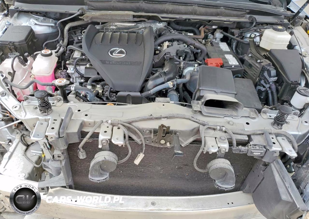 2024 Lexus Rx 350 Luxury VIN:2T2BAMBA5RC037062 - 11