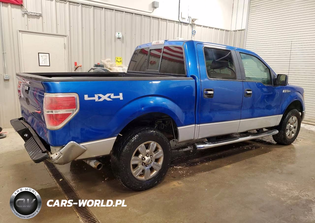 2010 Ford F150 Supercrew VIN:1FTEW1E82AFD49037 - 3