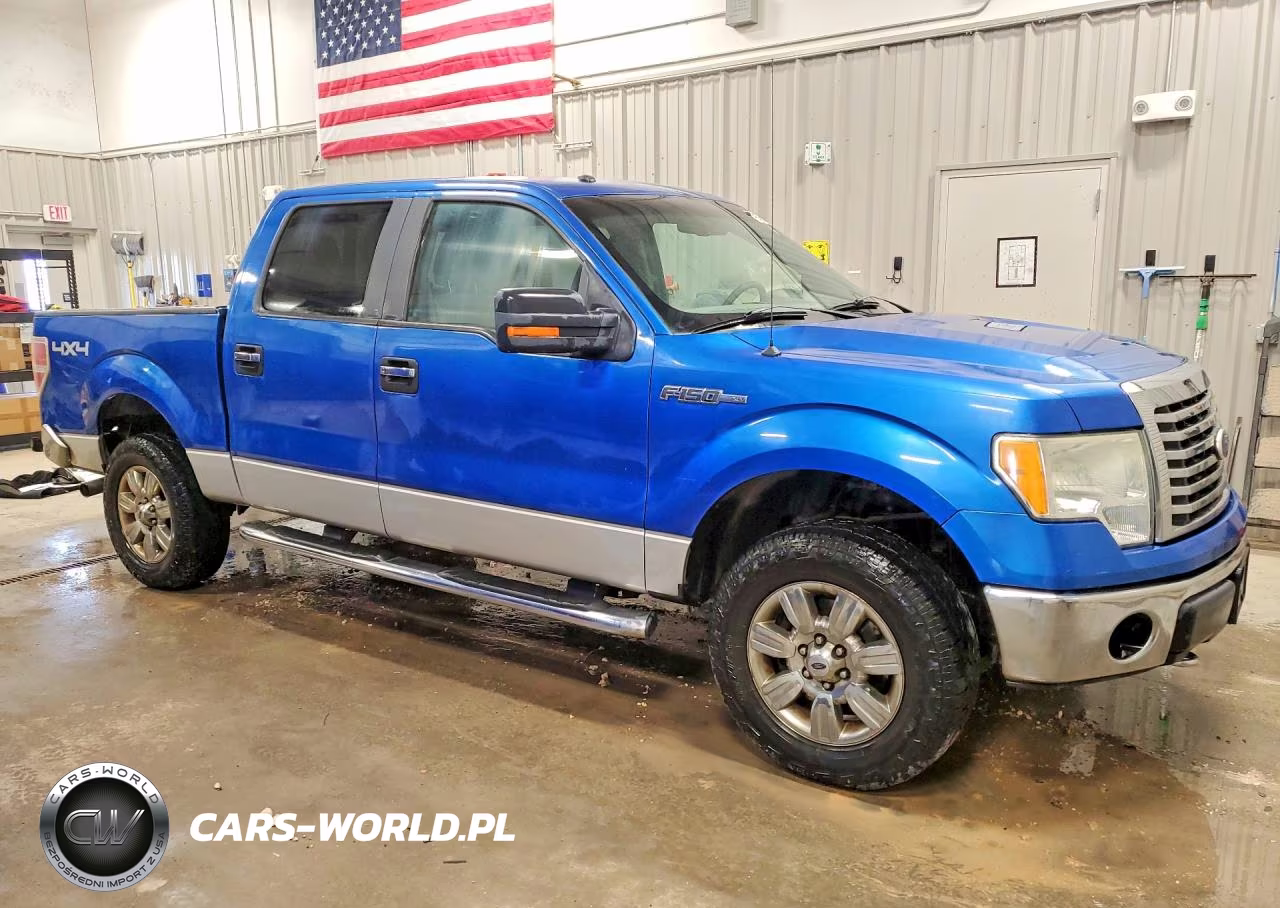 2010 Ford F150 Supercrew VIN:1FTEW1E82AFD49037 - 4