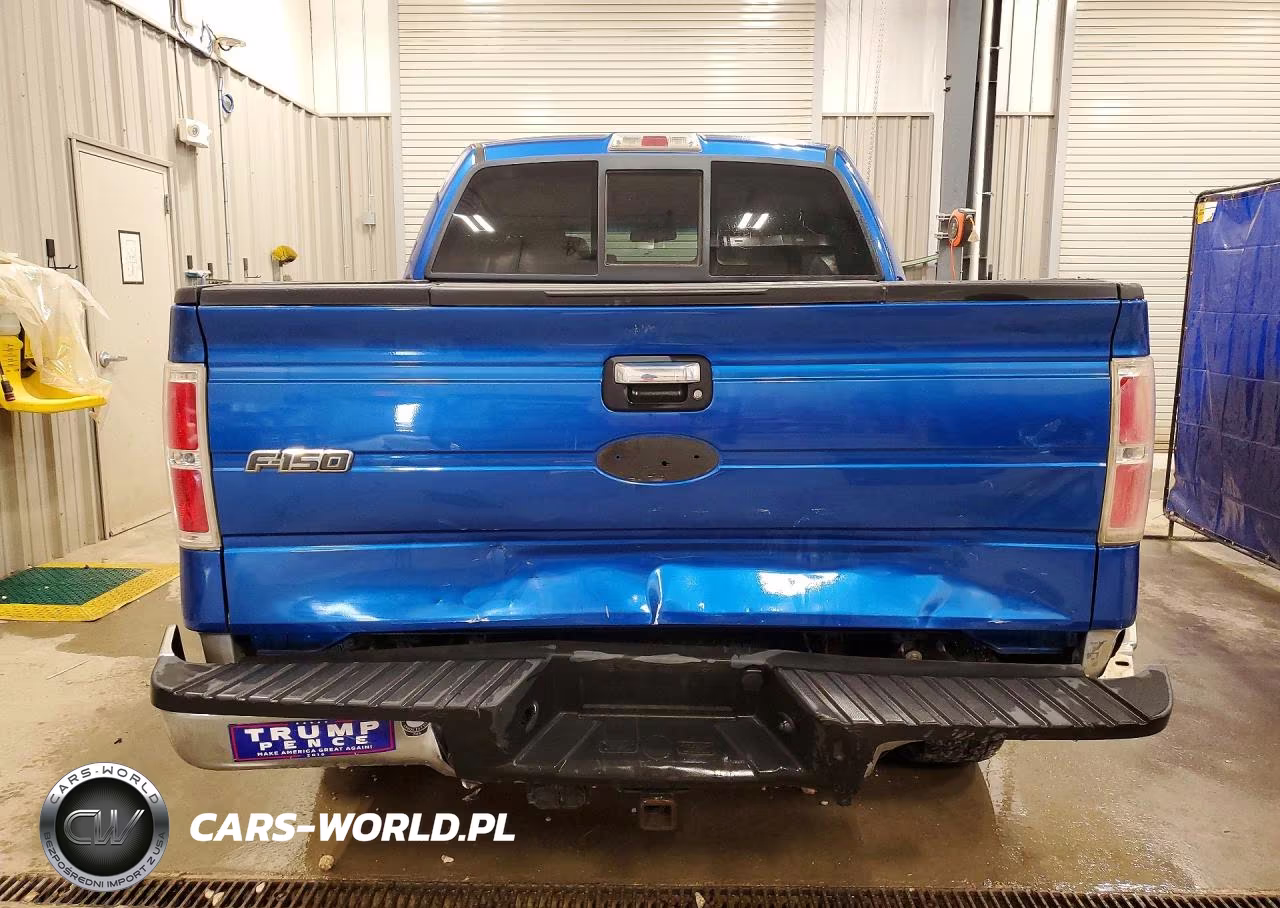 2010 Ford F150 Supercrew VIN:1FTEW1E82AFD49037 - 6