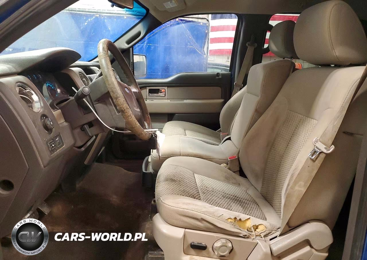 2010 Ford F150 Supercrew VIN:1FTEW1E82AFD49037 - 7