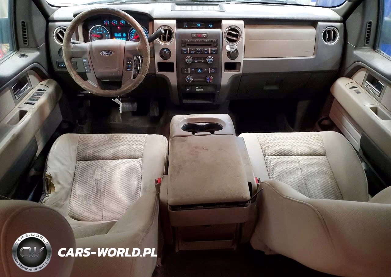2010 Ford F150 Supercrew VIN:1FTEW1E82AFD49037 - 8