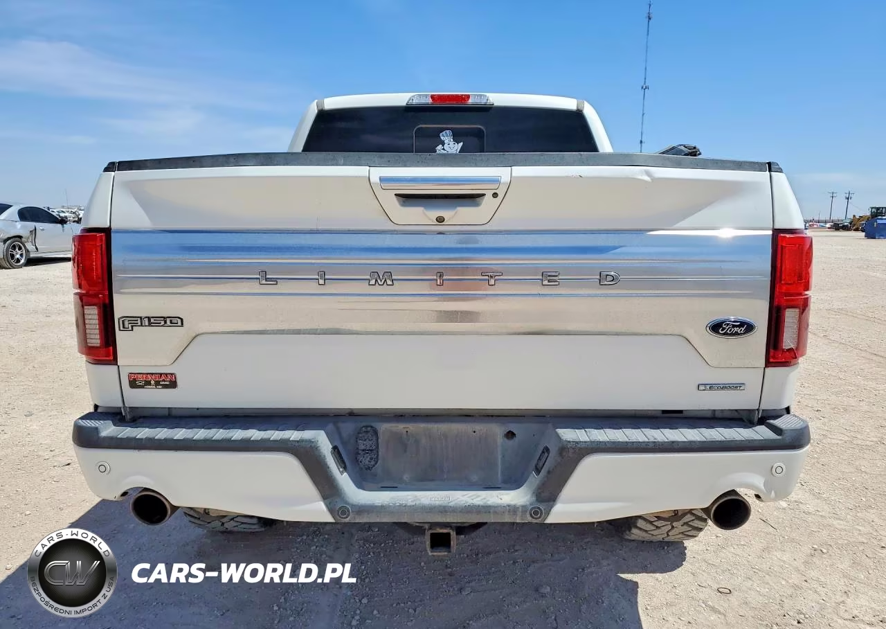 2020 Ford F150 Supercrew VIN:1FTEW1EG0LFB47260 - 6