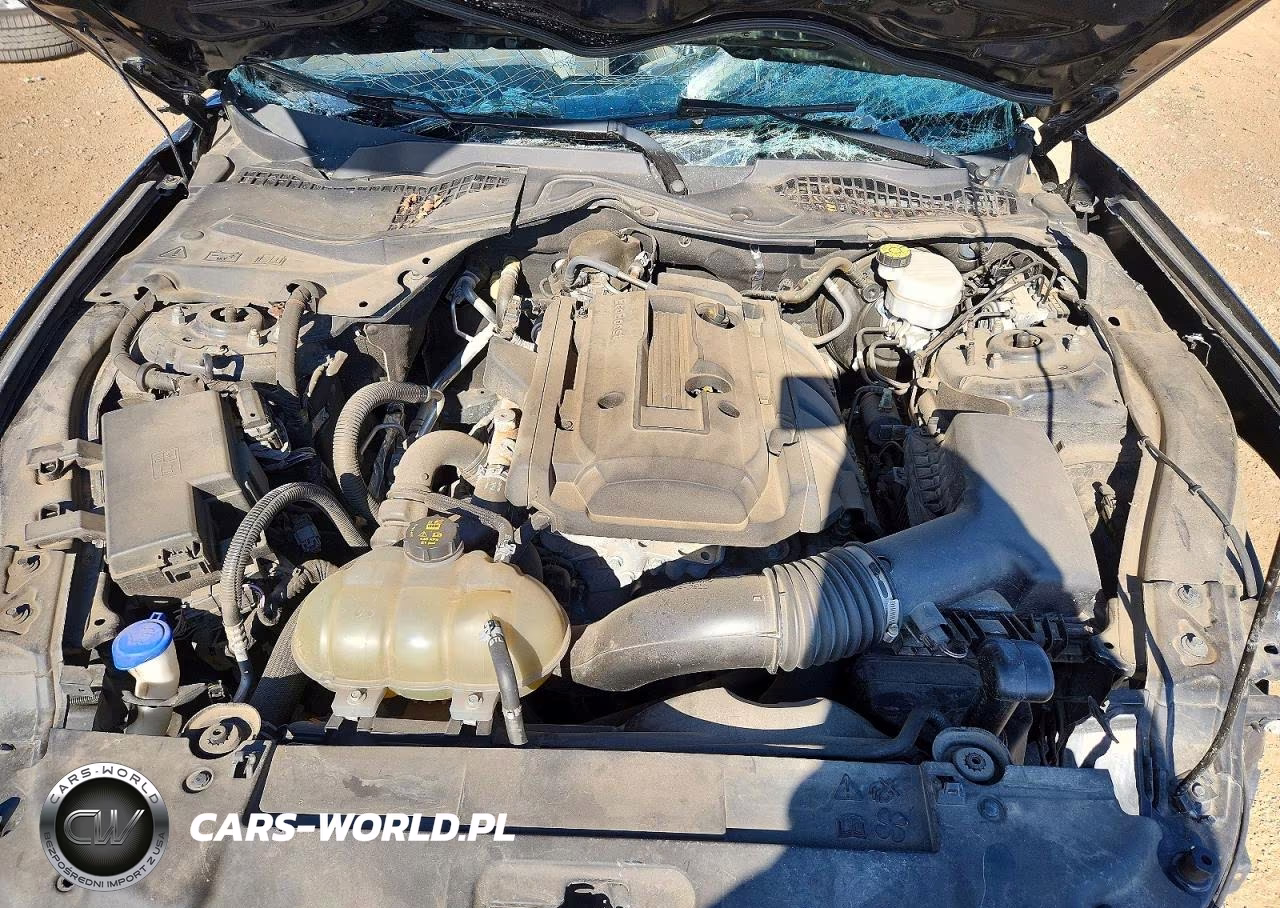2020 Ford Mustang VIN:1FA6P8TH0L5136731 - 11