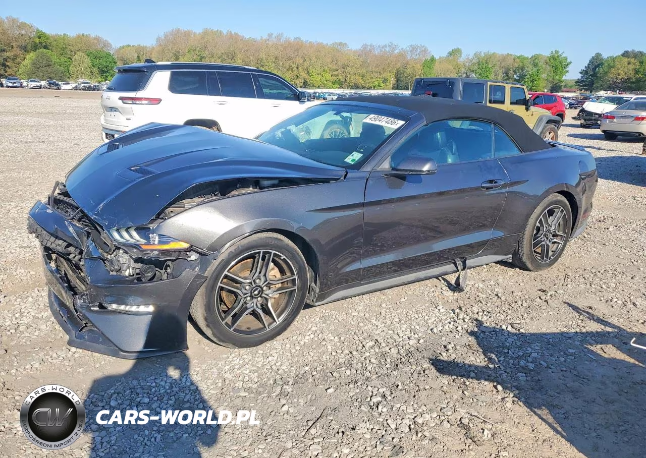 2019 Ford Mustang