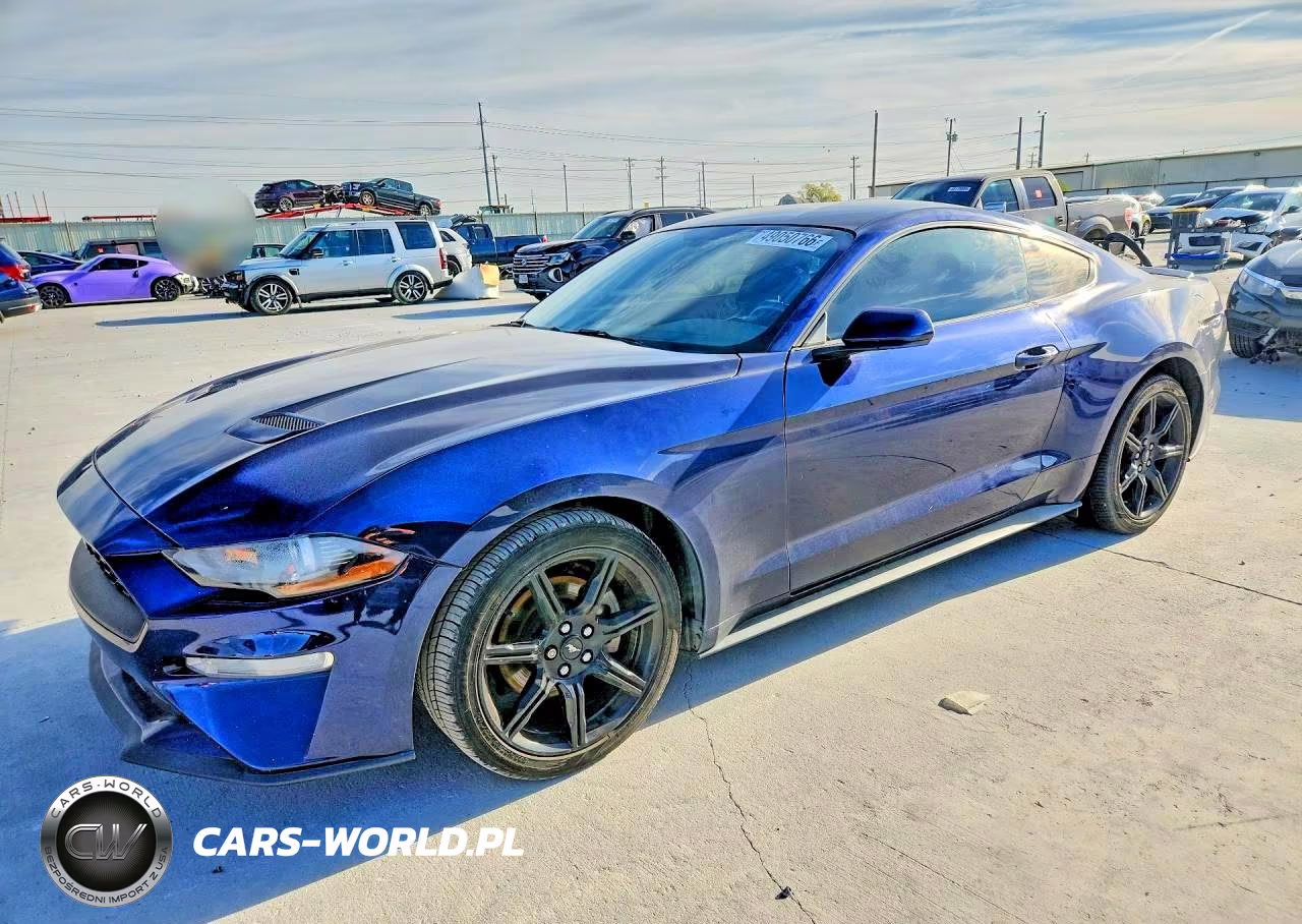 2019 Ford Mustang