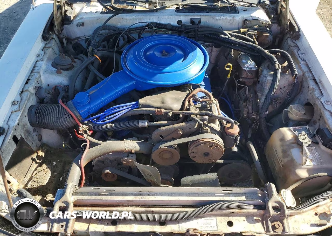 1985 Ford Thunderbird VIN:1FABP46F9FH191568 - 11