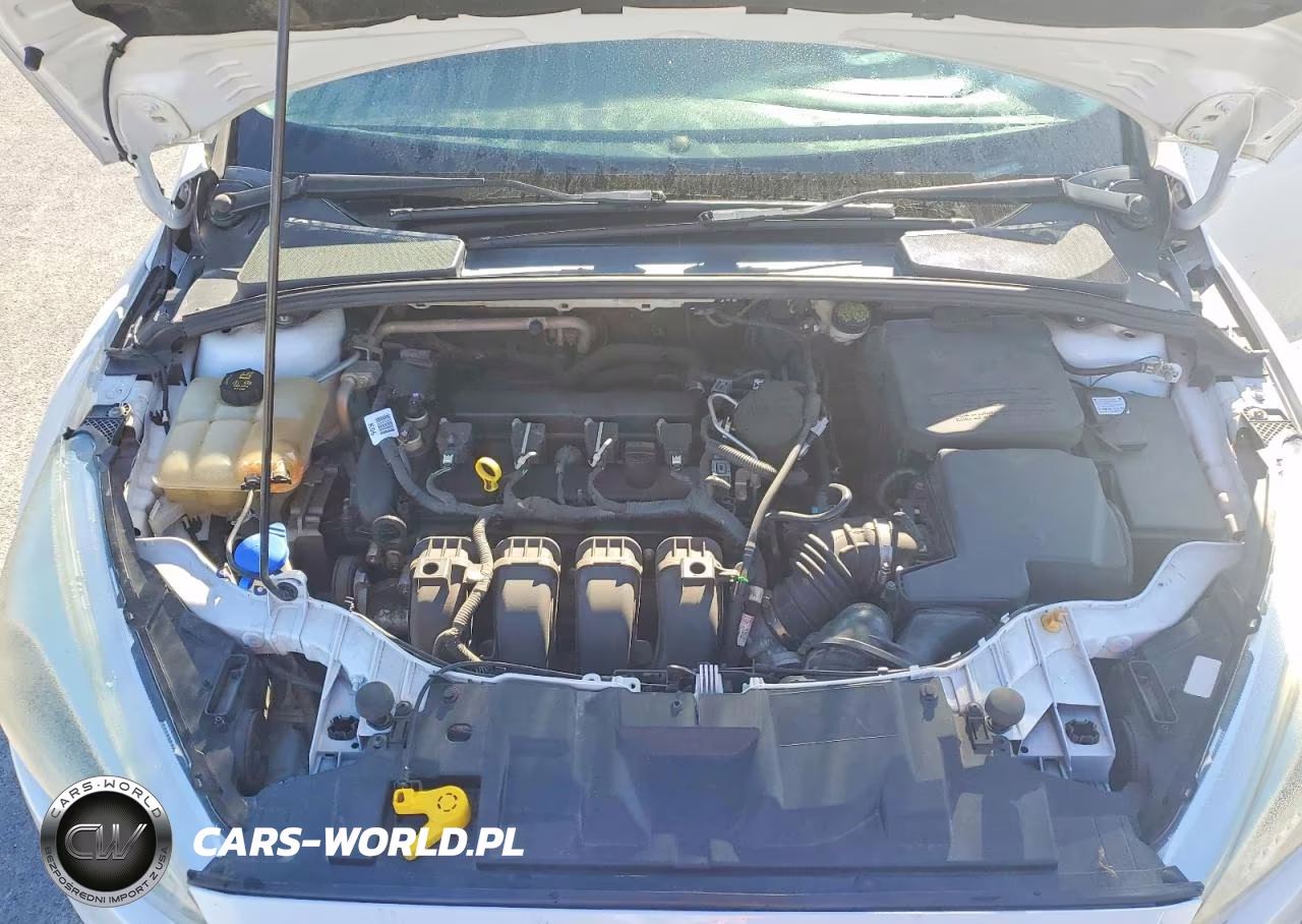 2015 Ford Focus Se VIN:1FADP3F2XFL262810 - 11