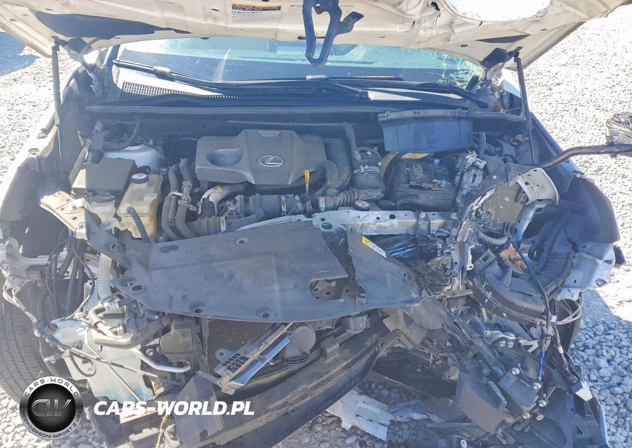 2018 Lexus Nx 300 Base VIN:JTJYARBZ0J2110078 - 12