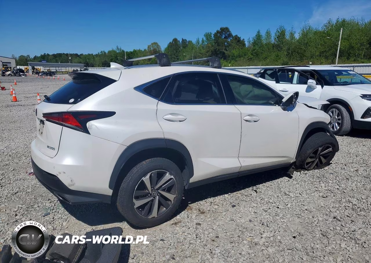 2018 Lexus Nx 300 Base VIN:JTJYARBZ0J2110078 - 3