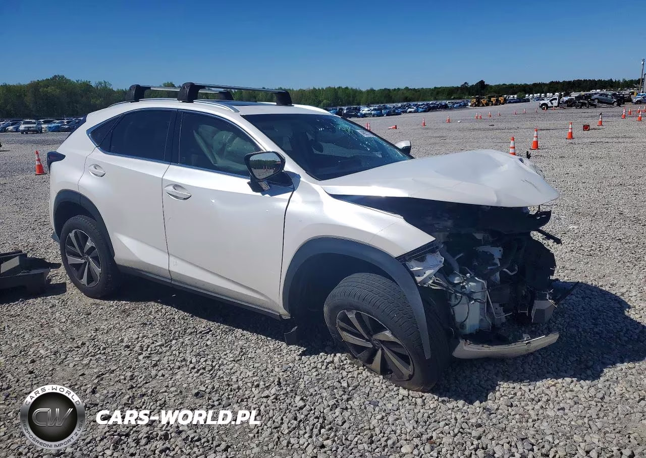 2018 Lexus Nx 300 Base VIN:JTJYARBZ0J2110078 - 4