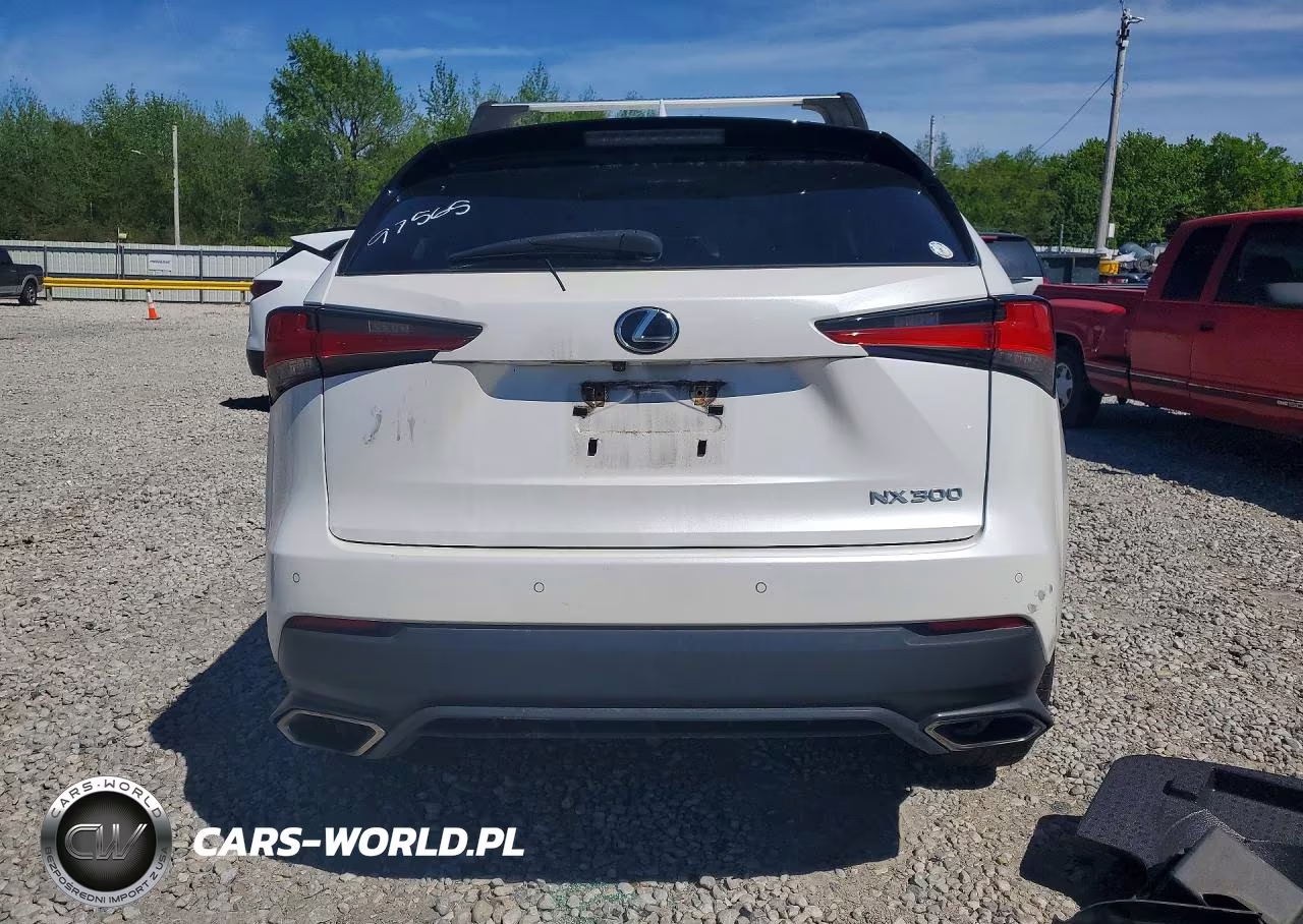2018 Lexus Nx 300 Base VIN:JTJYARBZ0J2110078 - 6