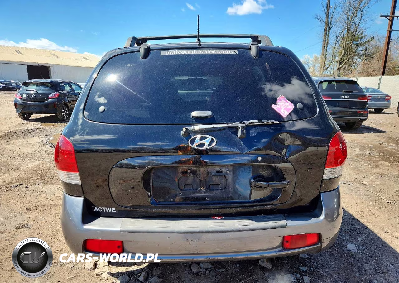 2006 Hyundai Santa Fe Gls VIN:KM8SC73D36U089129 - 6