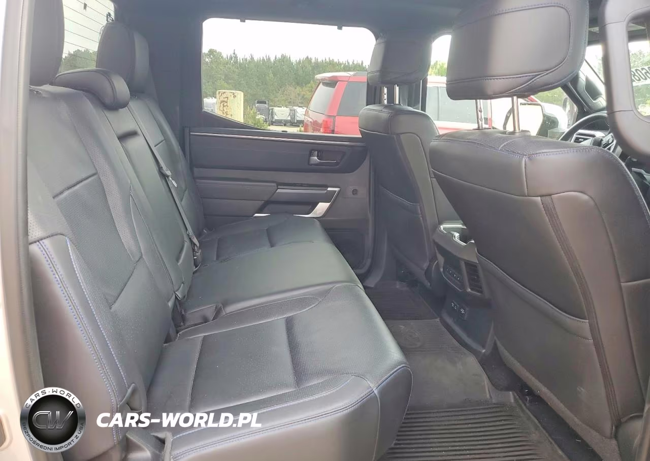 2023 Toyota Tundra Platinum Hv VIN:5TFNC5DB3PX027989 - 10
