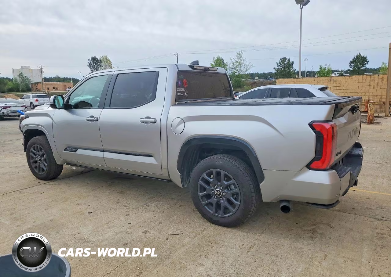 2023 Toyota Tundra Platinum Hv VIN:5TFNC5DB3PX027989 - 2