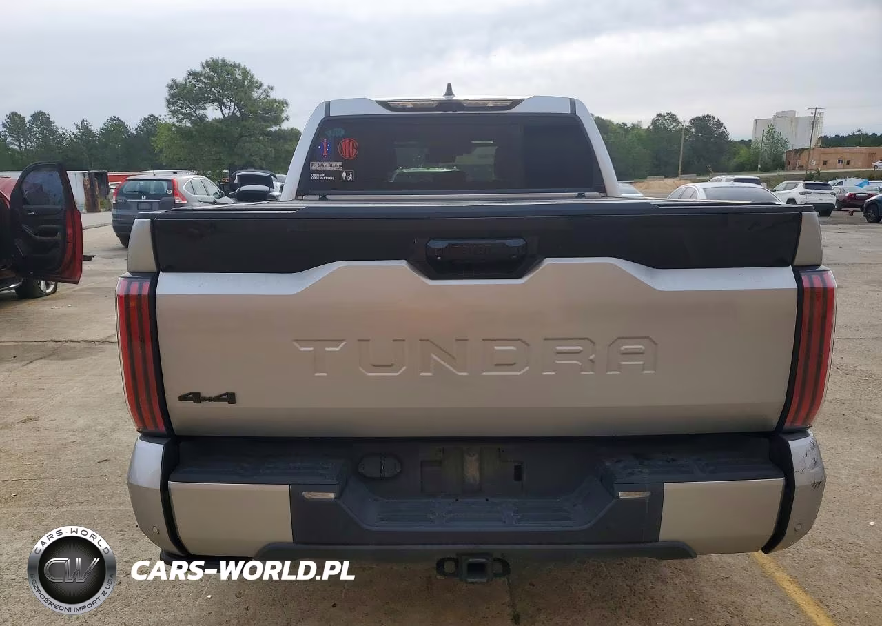 2023 Toyota Tundra Platinum Hv VIN:5TFNC5DB3PX027989 - 6