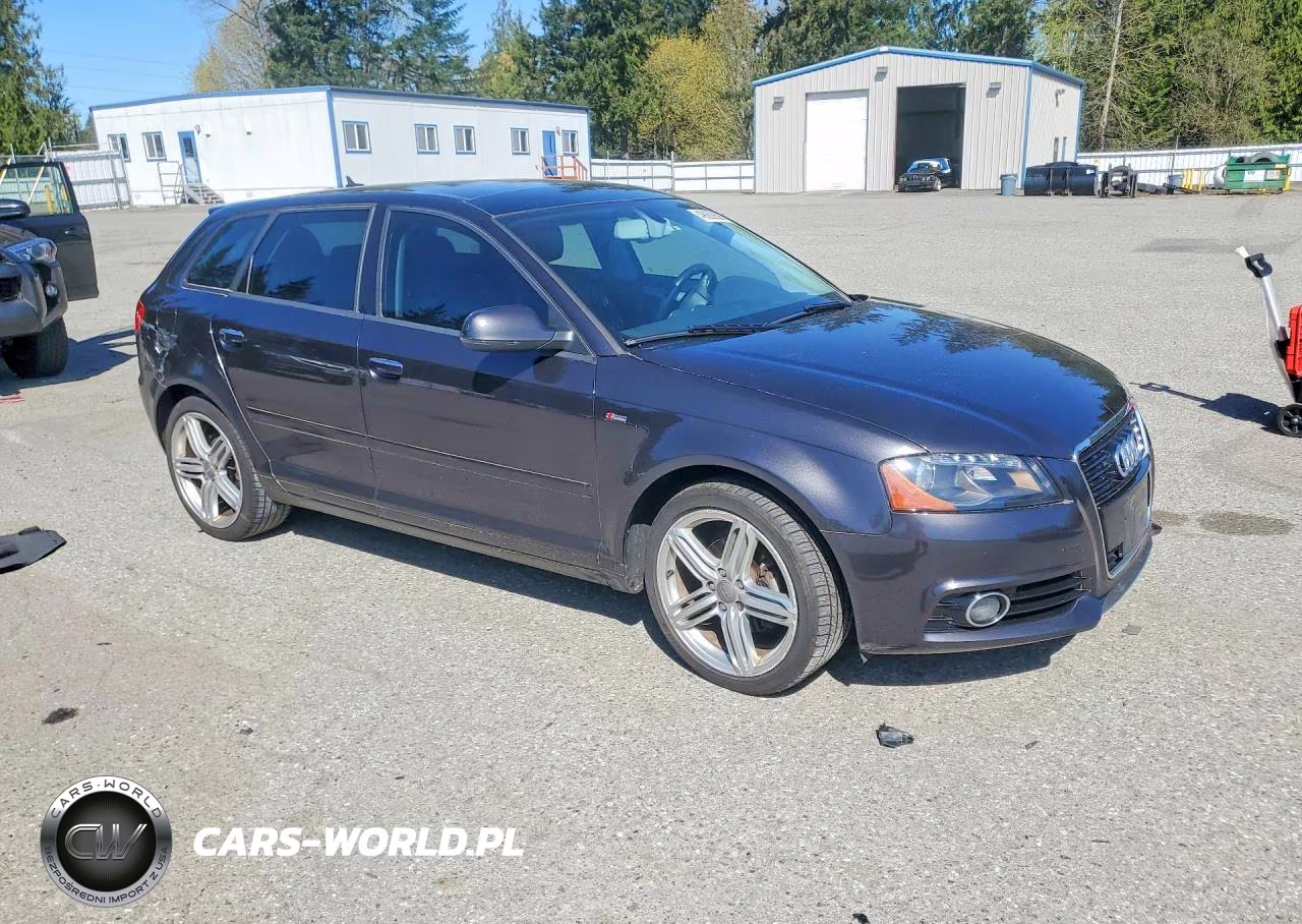 2013 Audi A3 Premium Plus VIN:WAUKJAFM1DA021250 - 4